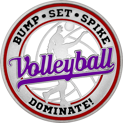 Purple "Volleyball" with Maroon Outer Circular Borders